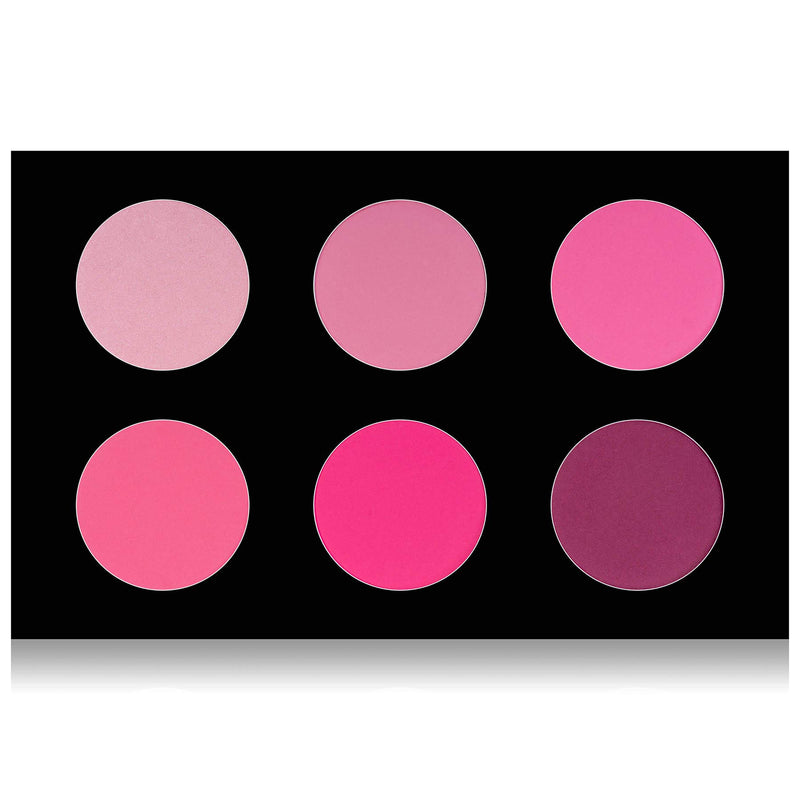 SHANY Shimmer & Matte Cool-Toned Blush Palette - Layer 5 - Refill for the 6 Layer Mini Masterpiece Collection Makeup Set COOL BLUSH - BeesActive Australia