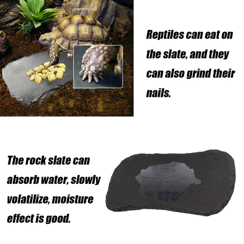 Tfwadmx Reptile Basking Platform,Tortoise Rock Plate Feeding Food Bowl Dish Feeding Slate Turtle Bathing Resting Platform for Lizard Gecko Bearded Dragon Chameleon Snake Frog - BeesActive Australia