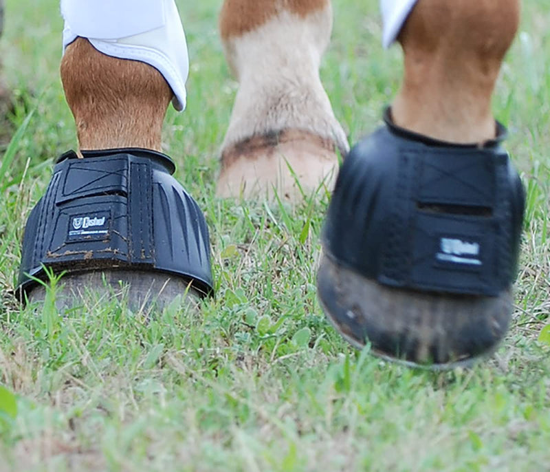 Cashel No Turn Rubber Bell Boots for Horses, Equine, Pair, Colors: Black, Blue, Red, Teal Large - BeesActive Australia