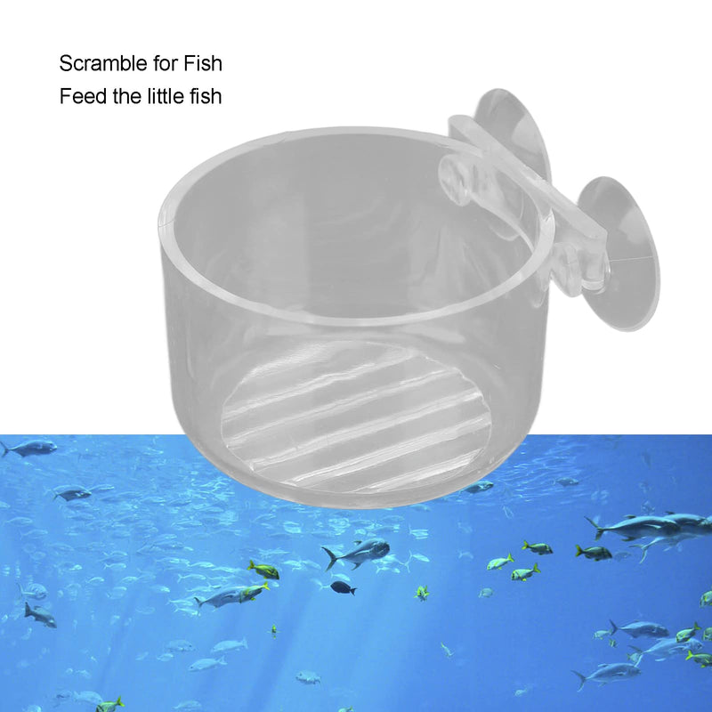 Fish Tank Feeding Cone Cup Aquarium Cone Red Worm Feeder Fish Tank Brine Shrimp Feeder - BeesActive Australia