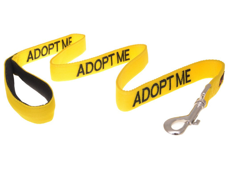 Dexil Limited Adopt ME Yellow Color Coded 2 4 6 Foot Padded Handle Dog Leash (New Home Needed) Donate to Your Local Charity 4 Foot Leash - BeesActive Australia