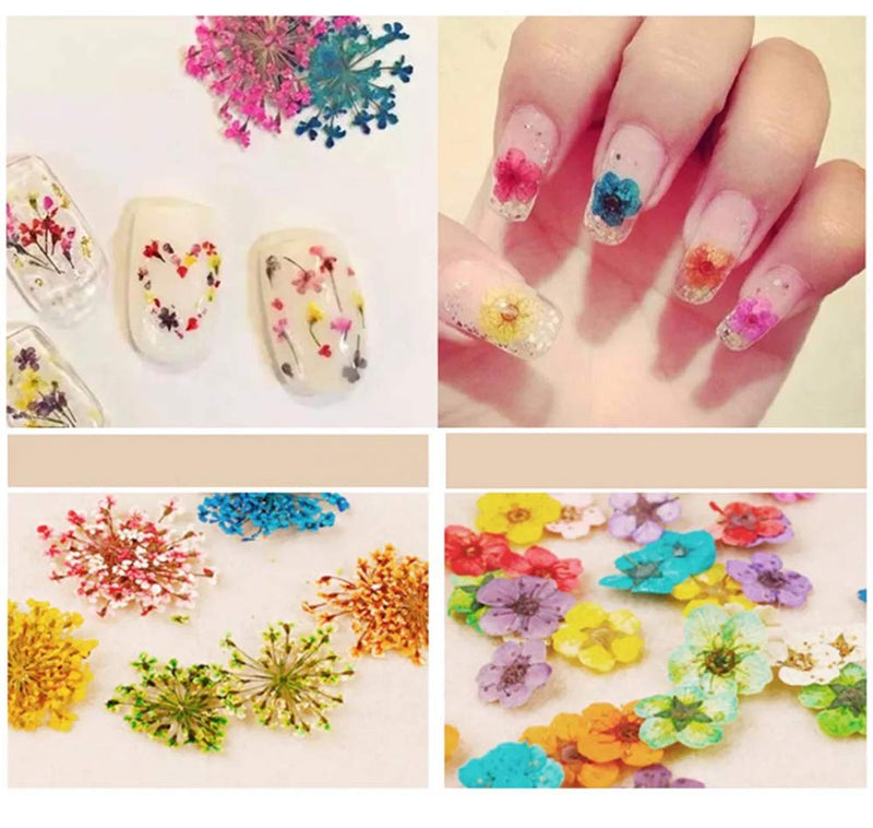 3 Boxes Dried Flowers for Nail Art Designs 36 Starry Plus & Eternal Flower and Five Flower Three-Dimensional Applique 3D Natural Real Dry Flowers for Tips Manicure Wraps Design Decoration Supplies Kit - BeesActive Australia