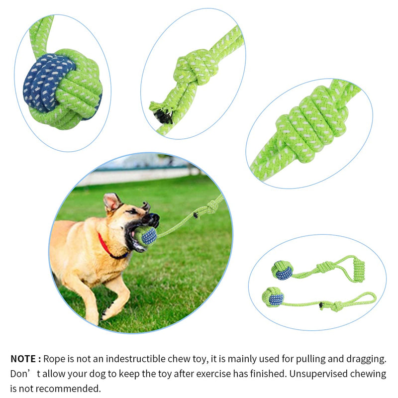 Outdoor Hanging Bungee Dog Toy - Interactive Dog Tug Toy with Dog Rope Toys for Small to Large Dogs - Best for Tug of War, Bite Training, Pull Exercise, Solo Play Green Chew Rope - BeesActive Australia