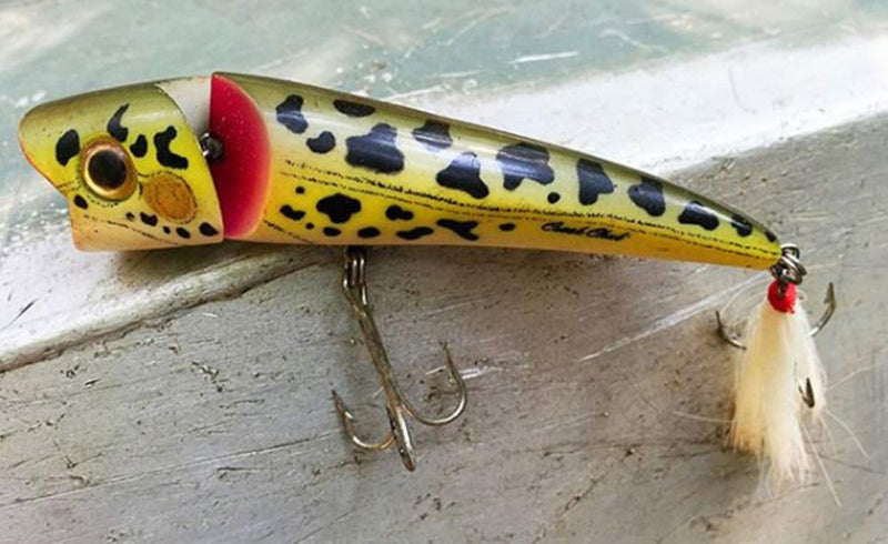 [AUSTRALIA] - Creek Chub Knuckle Head Jointed Topwater Fishing Lure with Chugging and Popping Action Knuckle Head - 5" Baby Striper 
