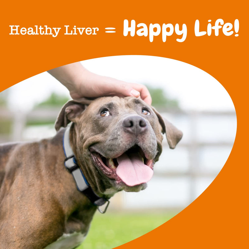 Zesty Paws Liver Support Supplement for Dogs - with Milk Thistle Extract, Turmeric Curcumin, Cranberry & Choline - Natural & Grain Free Soft Chew Formula - for Dog Liver Function & Detox Chicken 90 Count - BeesActive Australia