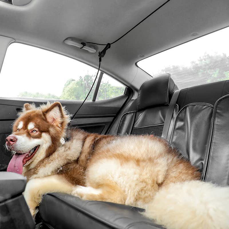 Mi Metty Dog Seatbelt, Dog Car Harnesses, Back Seat Leash Made of Coated Wire Rope, Happy Ride Dog Zipline, Great for Travel, Safety Restraint No-Chew Tether Cable Stainless Steel. - BeesActive Australia