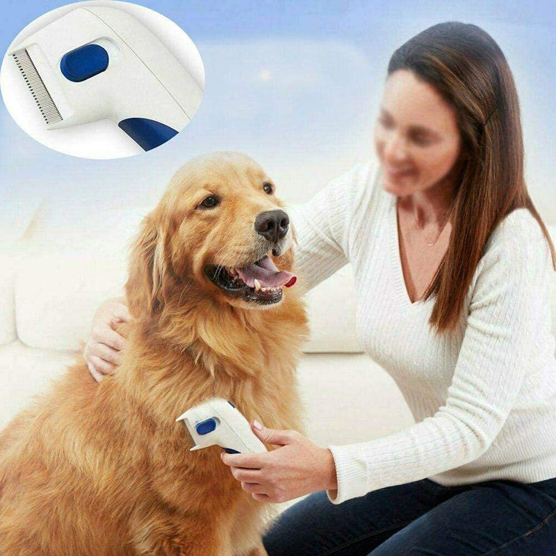 Pet combs, electric pet combs, cat combs/dog combs, grooming combs can effectively remove floating hair, suitable for long-haired and short-haired babies such as cats/dogs/rabbits/totoro - BeesActive Australia