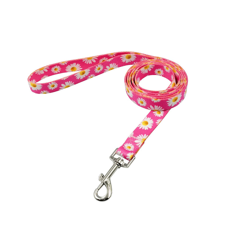 Olahibi Basic Dog Collar Leash Set 2 in 1, Durable Collar and 5ft Matching Lead. S Daisy Set - BeesActive Australia