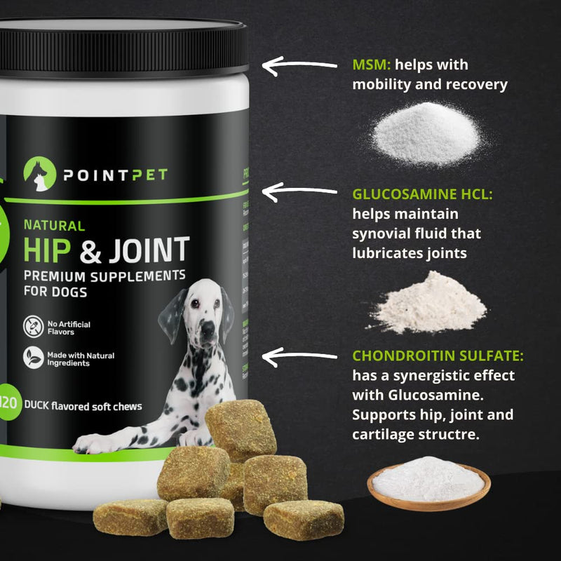 POINTPET Glucosamine for Dogs - Hip and Joint Supplement - Dog Mobility Soft Chews with Chondroitin & MSM, Arthritis Support for Hips and Joints with Omega 3 120 Soft Chews - BeesActive Australia