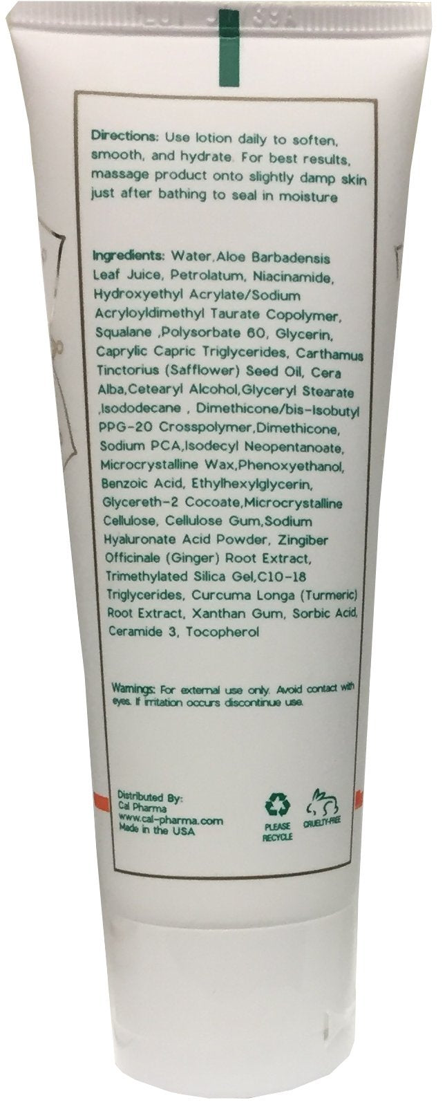Turmeric Herbal Anti-Aging Moisturizer (2 oz Grapefruit Hand & Body), with pure essential oils, Vitamin E, and rich moisturizing hyaluronic acid, ceramides and natural botanicals (Made In USA) 2 Ounce Grapefruit Body - BeesActive Australia