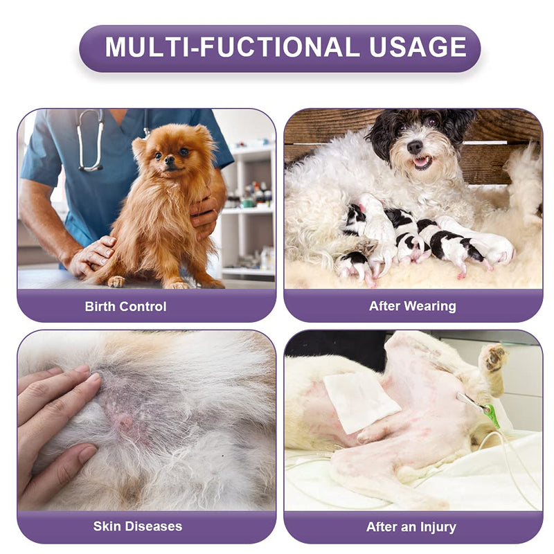 EMUST Dog Recovery Suit, After Surgery Wear for Dogs Male Female, Pet E-Collars Alternative Bandages, Professional Dog Onesie for Surgery for Abdominal Wounds X-Small Purple Strip - BeesActive Australia
