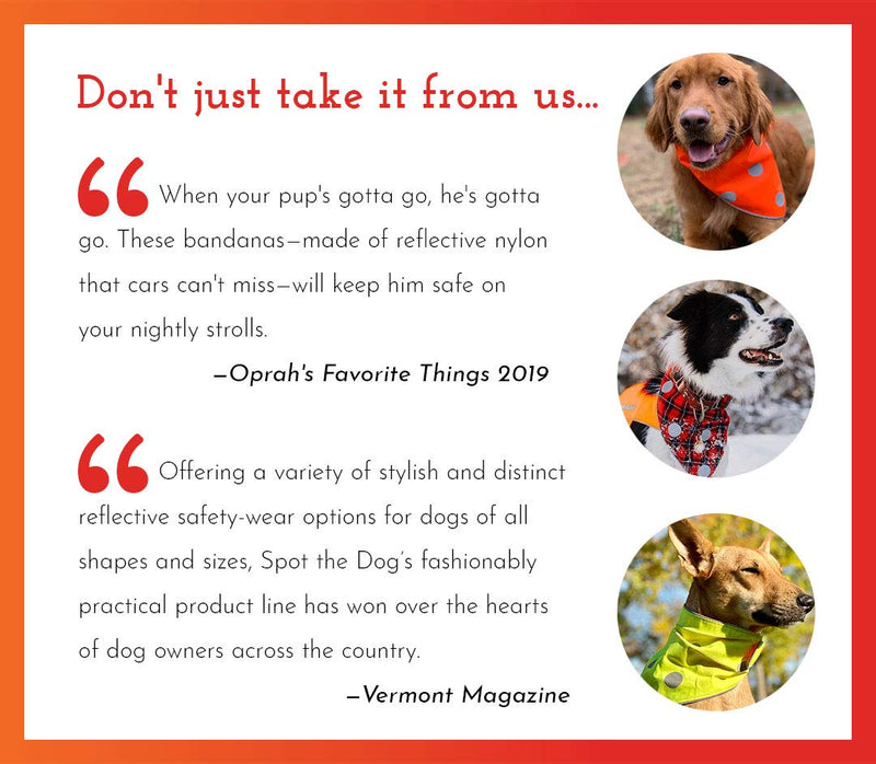 SPOT THE DOG! Reflective Vest Safety Apparel for All Dogs - Easy Fastening Closure, High Visibility Fluorescent Orange Large - BeesActive Australia