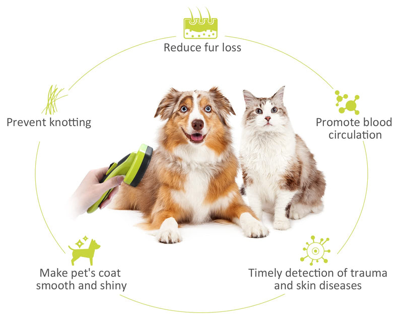 Pecute Dog Brush Cat Brush - Self Cleaning Slicker Brush, Effectively Reduces Shedding by Up to 95% - Professional Pet Grooming Brush Shedding Grooming Tools for Dogs and Cats with Middle to Long Hair Size M-Green with Massage Particles - BeesActive Australia