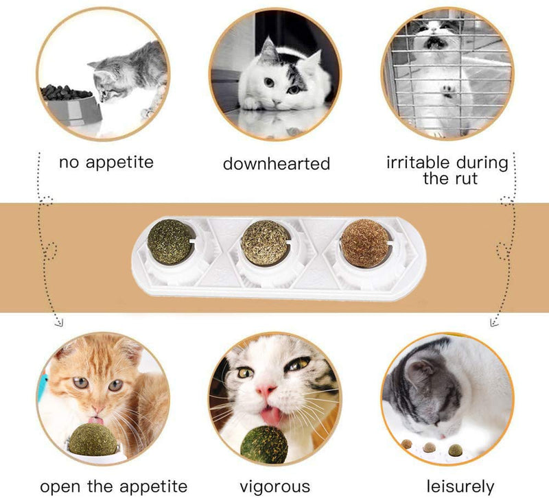 WoLover Catnip Wall Ball Toys – Rotatable Cat Snack Edible Balls with Natural Healthy Catnip | Silvervine | Gall Nut, Kitten Playing Chewing Cleaning Teeth Toy - BeesActive Australia