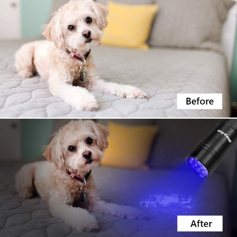morpilot Black Light, 2 Pcs UV Handheld Blacklight Flashlights 12 Led 395nm Mini Light Torch Detector for Pets Urine and Stains - BeesActive Australia