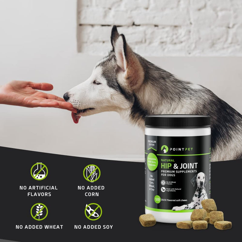 POINTPET Glucosamine for Dogs - Hip and Joint Supplement - Dog Mobility Soft Chews with Chondroitin & MSM, Arthritis Support for Hips and Joints with Omega 3 120 Soft Chews - BeesActive Australia
