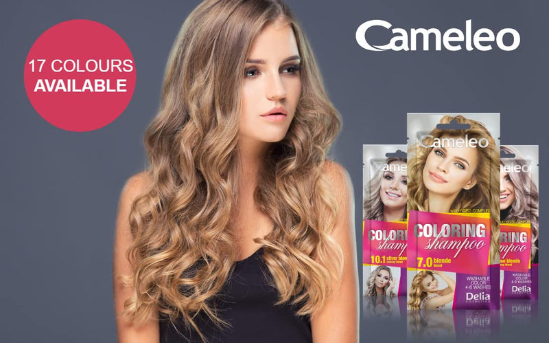 Cameleo - Coloring Shampoo - Dark Brown - Quick and Easy Color Refreshing - Washable Coloring - Tone In Tone - 40ml… 3.0 Dark Brown - BeesActive Australia