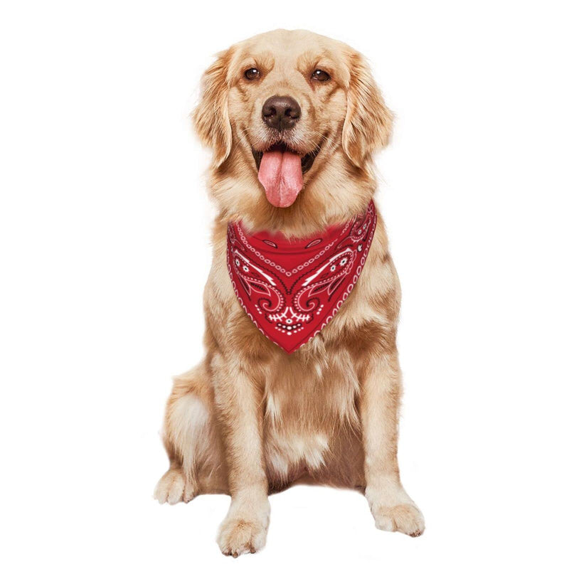 Dog Bandana Scarf Triangle Bibs Pet Accessories Cat Kerchief Black Border Red Colorful Paisley - BeesActive Australia