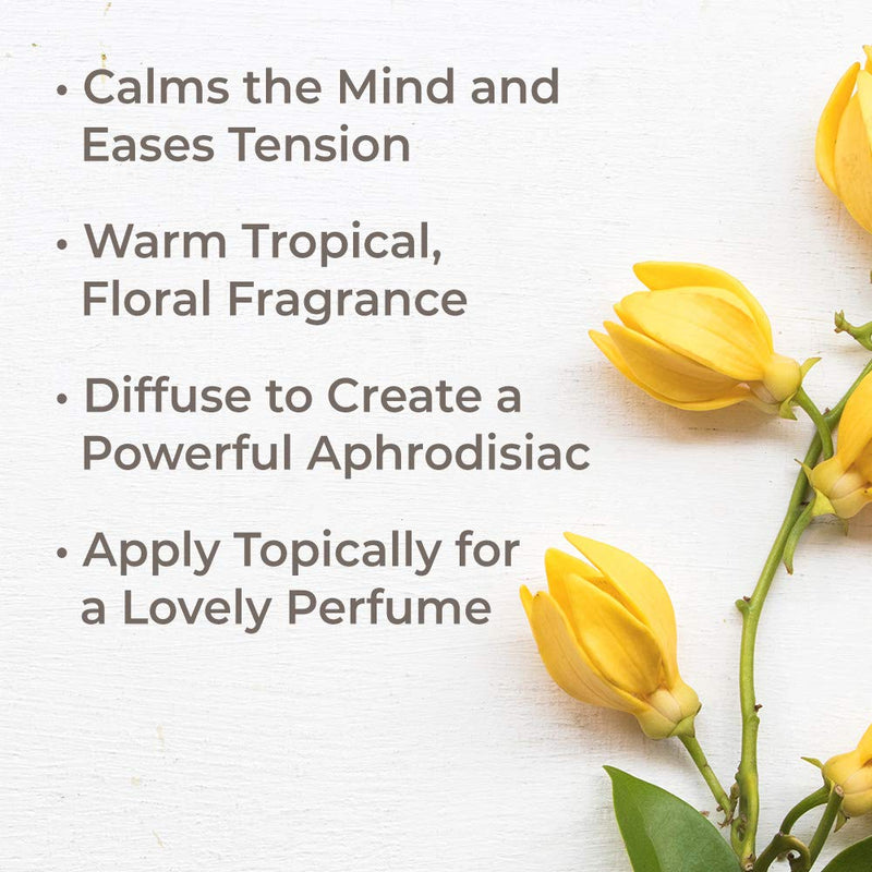 Plant Therapy Ylang Ylang Complete Organic Essential Oil 100% Pure, USDA Certified Organic, Undiluted, Natural Aromatherapy, Therapeutic Grade 30 mL (1 oz) 1 Fl Oz (Pack of 1) - BeesActive Australia