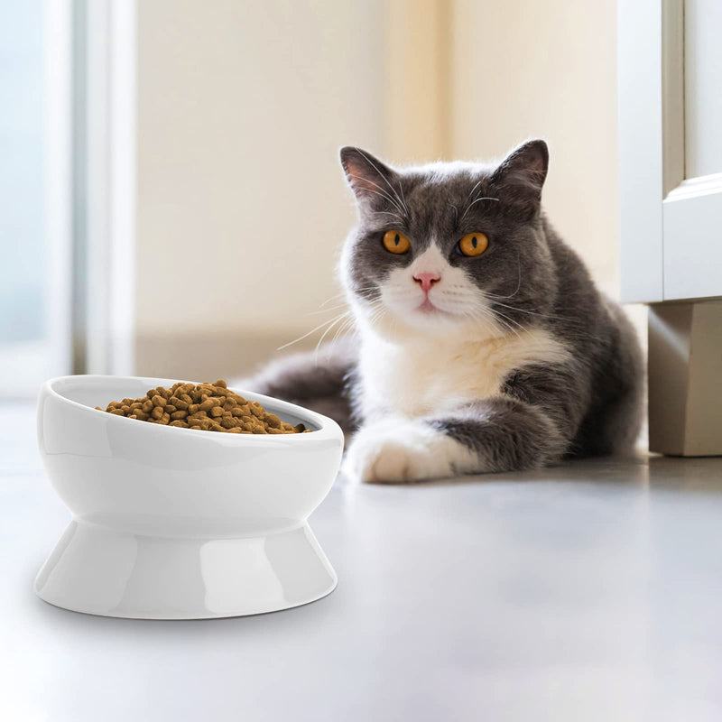 Nucookery Elevated Cat Food Water Bowl,Ceramic Raised Tilted Pet Feeder and Waterer Protect Pets' Spines,Small Dog Fat Faced Cat Kitten Supplies 5" Pure white - BeesActive Australia