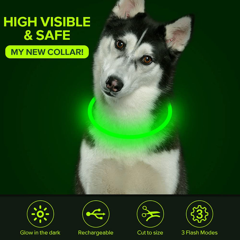 Colaseeme LED Dog Collar Light Up Dog Collars 1 Count USB Rechargeable TPU Glow Safety Basic Dog Collars for Large Medium Small Dogs Green - BeesActive Australia