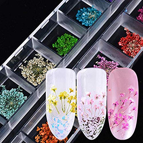 3D Nail Dried Flowers Sticker Set with Tweezers, CHANGAR Real Dried Flowers for Nail Art & Resin Craft DIY Five Petal Flower Leaf Gypsophila Dry Flower Nail Art Decoration Kits(2 Boxes) - BeesActive Australia