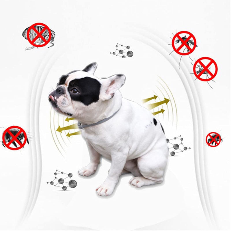 Pet combs, electric pet combs, cat combs/dog combs, grooming combs can effectively remove floating hair, suitable for long-haired and short-haired babies such as cats/dogs/rabbits/totoro - BeesActive Australia