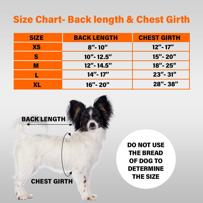 NeoAlly Upgraded Dog Surgical Recovery Suit Cone Alternative Onesie Post Surgery Wear Protects Abdominal Wounds and Skin Anti Licking, Aids Hot Spots, and Provides Anti Anxiety Relief Large - BeesActive Australia