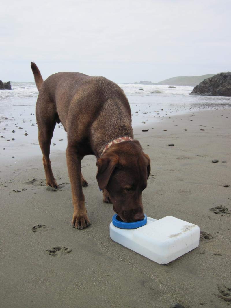 Lixit Dog Travel Water Bowl 3 Quarts 3 Quart - BeesActive Australia