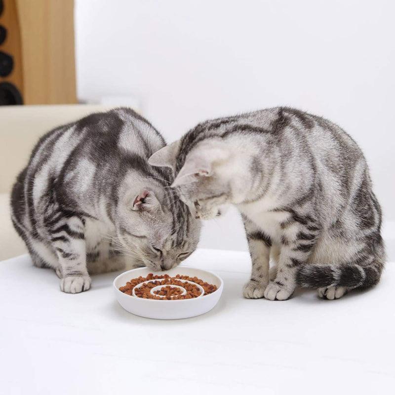 SLSON Cat Slow Feeder Bowl,Ceramic Slow Feed Cat Bowls Heavy and Shallow Wisker Stress-Free Pets Dish for Kittens Small Pets Wet Food,White - BeesActive Australia