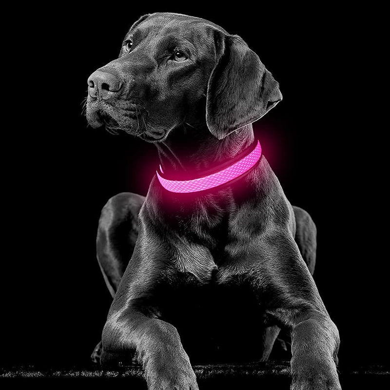 YFbrite Light up Dog Collar, Rechargeable LED Dog Collar, Adjustable Cat Collar Light Safety Glowing at Night for Puppy, Small, Medium, Large Dogs Pink - BeesActive Australia