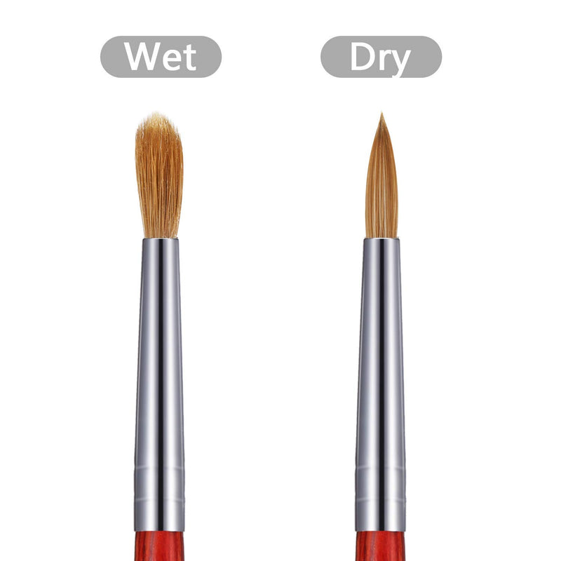 Nail Brushes, 100% Pure Kolinsky Nail Sable Brush for Acrylic Hair Bristles, Wood Handle Professional Nail Art Painting Handle Brush 18# 18# - BeesActive Australia