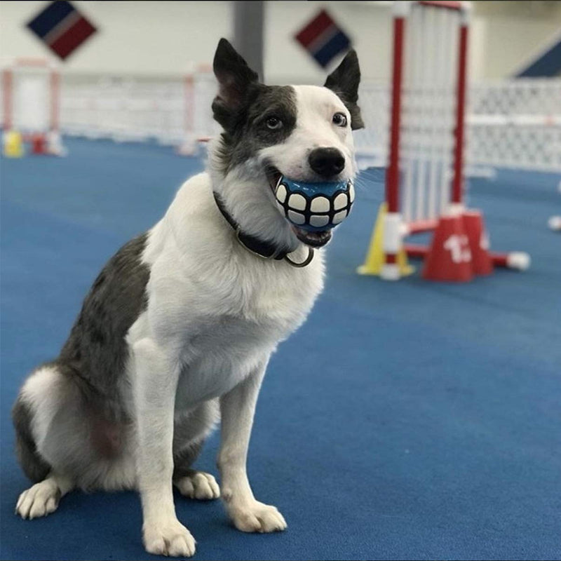 Dawg Grillz Dog Balls Toys - Squeaky Fetch Rubber Funny Ball Gifts for Large Medium Dogs … Blue White - BeesActive Australia