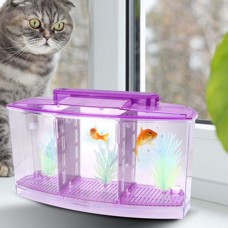 Sutinna Fish Tank, Adjustable Light Isolation Acrylic Small Aquarium, with LED Light for Small Fishes for Betta with Water Change Valve Blue,White,Purple - BeesActive Australia