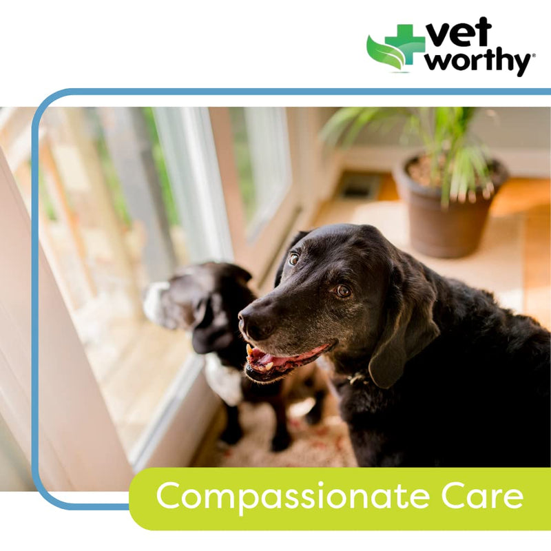 Vet Worthy Senior Multivitamin Chewable for Dogs - Antioxidants and Nutritional Support - Daily Support - Essential Vitamins, Minerals, & Enzymes- Liver Flavor Chewable for Dogs - 60 Tablets - BeesActive Australia