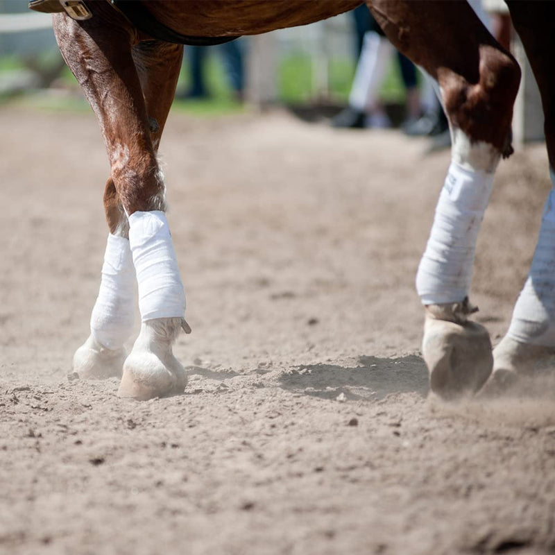 Y.J TAILS Horse Polo Wraps Soft Fleece Polo Wraps Equestrian Leg Bandage Wrap Set of 4 Packs White - BeesActive Australia