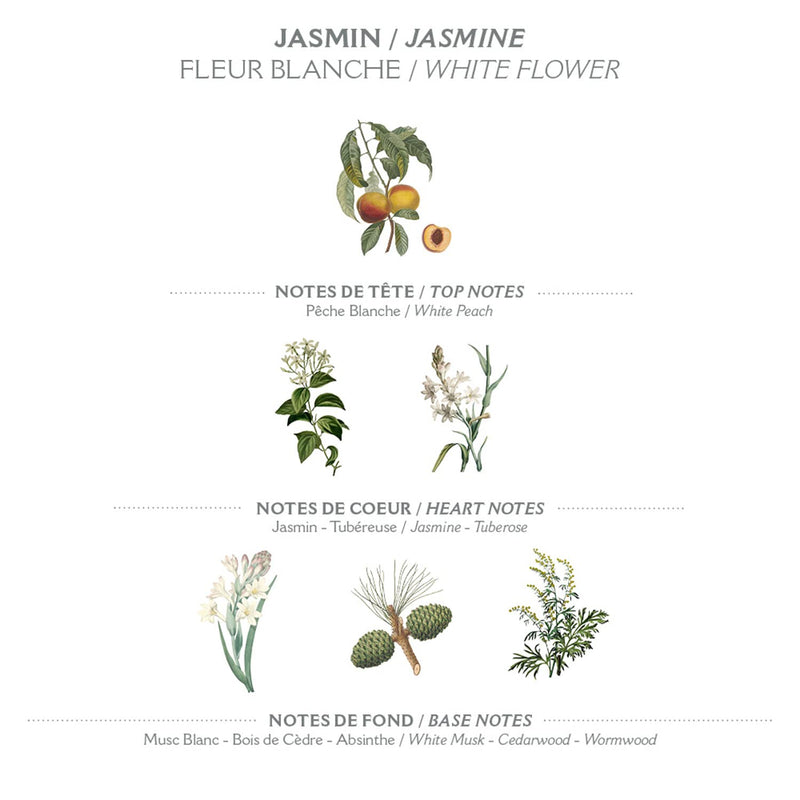 Panier des Sens - Shower Gel - Jasmine Body Wash for Women & Men - Shower Lotion Made in France - Moisturizing Body Wash 95% Natural Ingredients - 8.45 Fl.oz/250ml Precious Jasmine 8.45 Fl Oz (Pack of 1) - BeesActive Australia