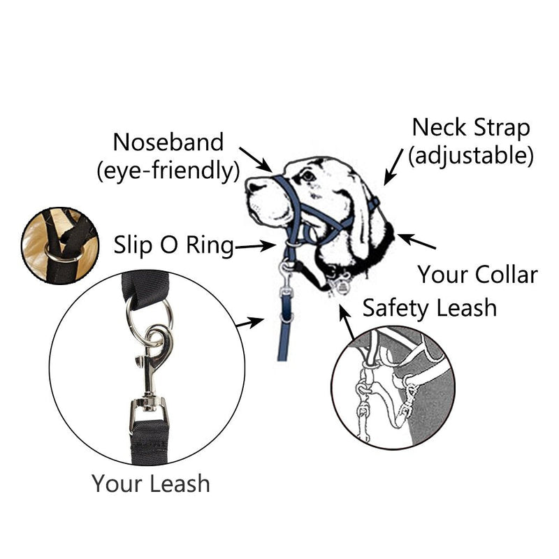 Dog Head Collar, No Pull Training Tool for Dogs on Walks, Includes Free Training Guide, 5 XL Black - BeesActive Australia