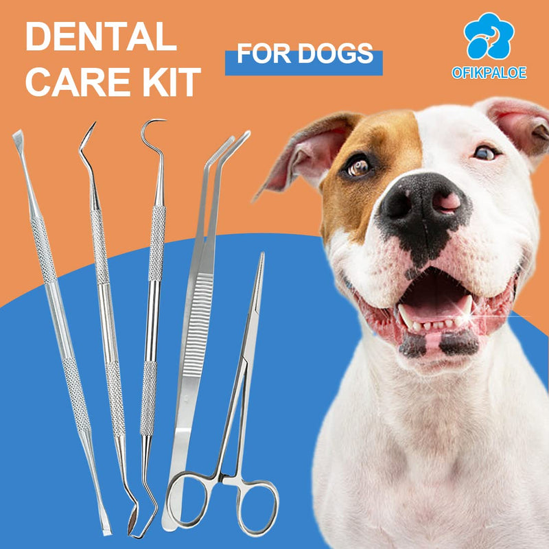 ofikpaloe Dog Teeth Scaler, Double Headed Spatula, Stainless Steel, Tartar Remover Pet Teeth Cleaning Tool for Dogs and Cats 7pcs - BeesActive Australia