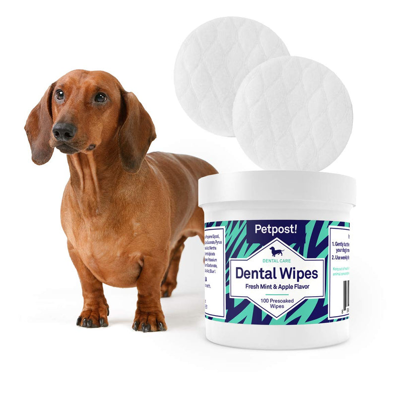 Petpost | Dental Wipes for Dogs - Bad Breath and Tooth Buildup Gone - 100 Presoaked Pads in Natural Tooth Cleaning Solution 100 Count (Pack of 1) - BeesActive Australia