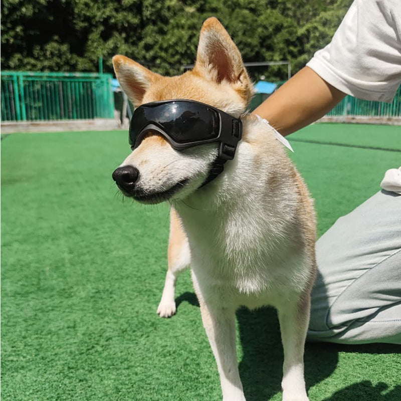 Dog Goggles Small or Medium Dog Sunglasses Anti-UV Waterproof Windproof Glasses Dog Eyewear for Small Medium Breed Black - BeesActive Australia