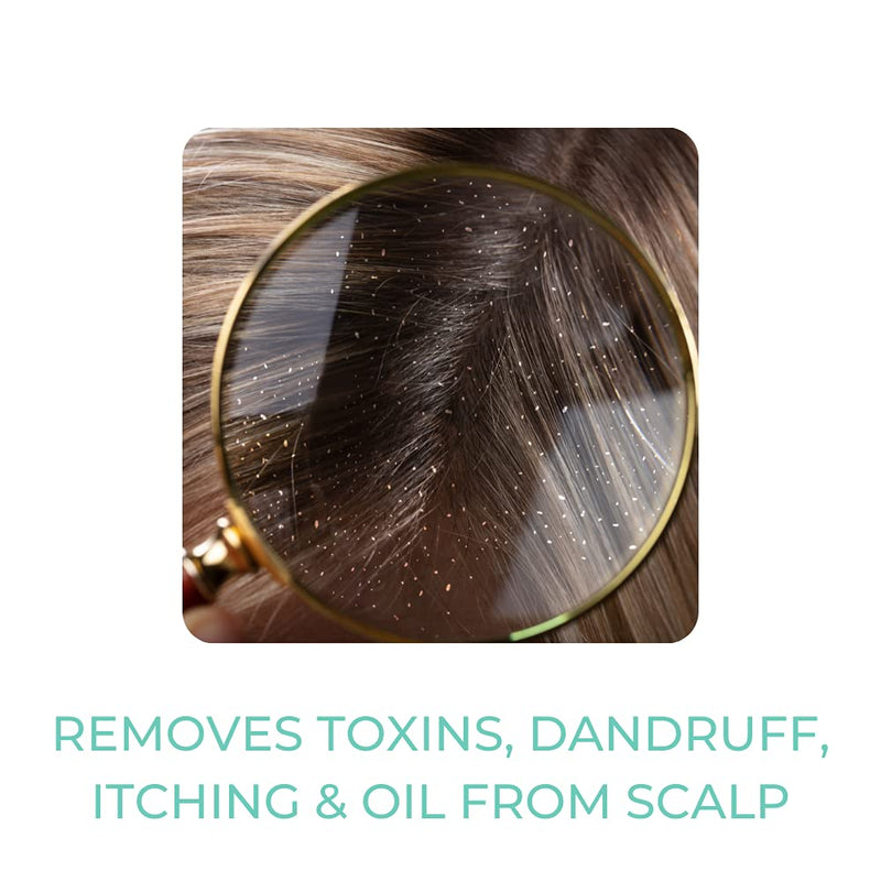 Herbal Hair: Hair Cleanse Oil | Advanced Herbal Tonic | Natural Ingredients | Hair Loss Treatment | Hair Recovery | Strengthen Hair | 120ml - BeesActive Australia