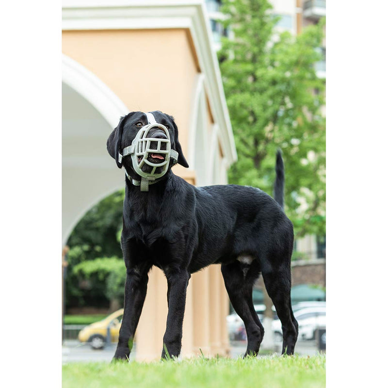 Dog Muzzle, Soft Silicone Basket Muzzle for Dogs, Allows Panting and Drinking, Prevents Unwanted Barking Biting and Chewing, Included Collar and Training Guide 3 (Snout 9¾-11") Grey - BeesActive Australia