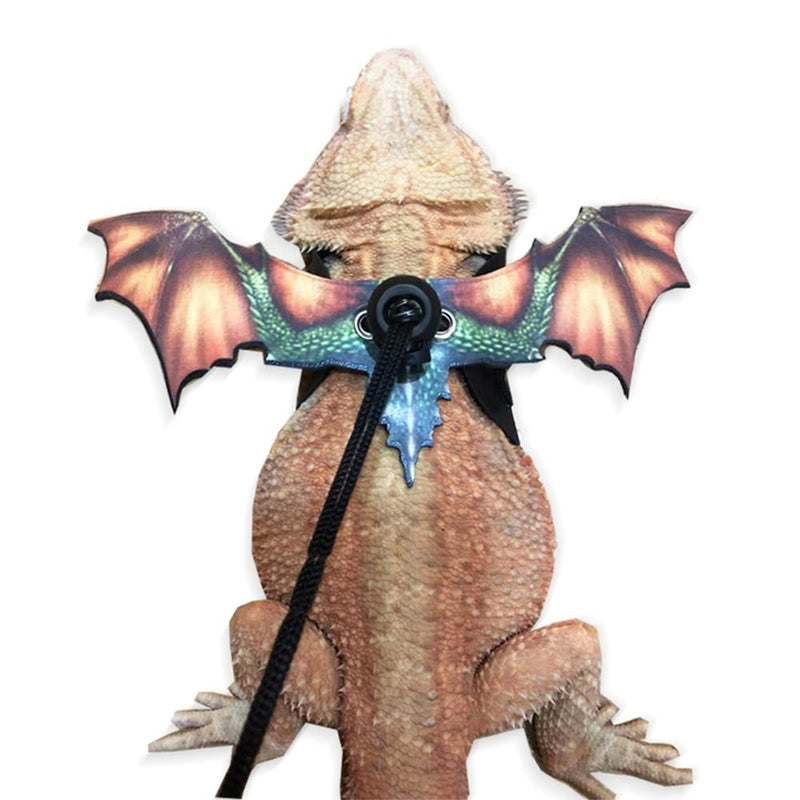 Bearded Dragon Leash, Adjustable Portable Reptile Leash with Cool Wings for Gecko, Bearded Dragon, Chameleon, Iguana, Hamster, Guinea Pig (S+M+L) black grey - BeesActive Australia