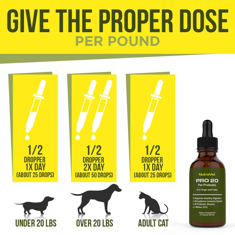 Probiotics for Dogs and Cat Probiotics -- 120 Servings (1/2ml). 100% Natural Digestive Enzymes for Gas Relief and Healthy Digestion. Prebiotics via Liquid Vitamins for Constipation & Leaky Gut - BeesActive Australia
