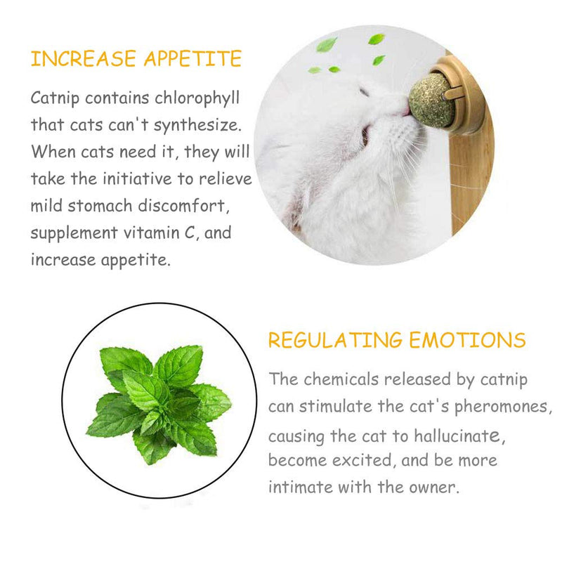 2 Pack Catnip Balls, Pure Natural Mint Leaf Rotating Interactive Cat Toys, Cat Removal Hairball Toys Can Be Sticky On Wall, Teeth Cleaning Catmint Toy for Cat, Kitten, Kitty Playing Chewing 2pcs catnip ball - BeesActive Australia