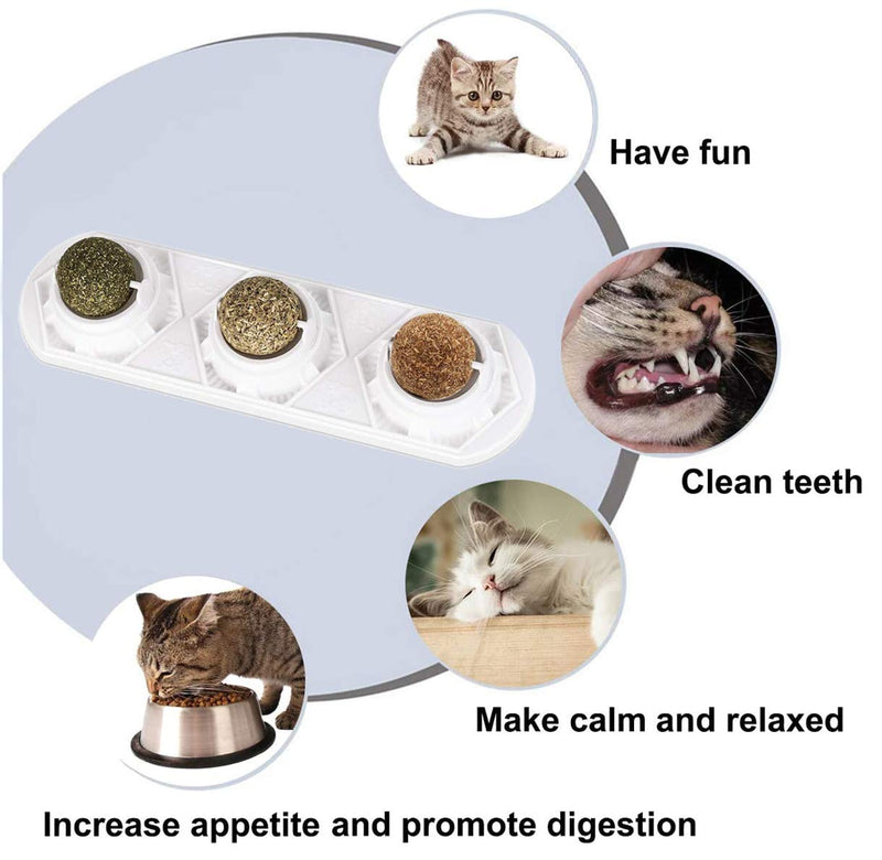 WoLover Catnip Wall Ball Toys – Rotatable Cat Snack Edible Balls with Natural Healthy Catnip | Silvervine | Gall Nut, Kitten Playing Chewing Cleaning Teeth Toy - BeesActive Australia