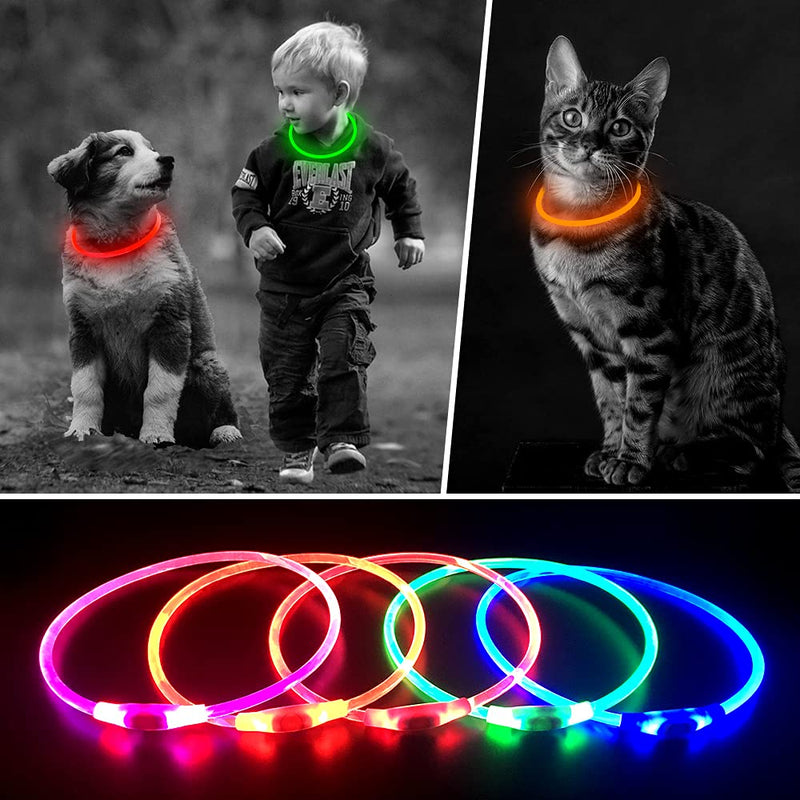 Vizbrite LED Dog Collar, USB Rechargeable Light Up Dog Collars, Glow Safety Basic Dog Collars for Night Walking, Waterproof Collar for Small Medium Large Dogs GREEN - BeesActive Australia