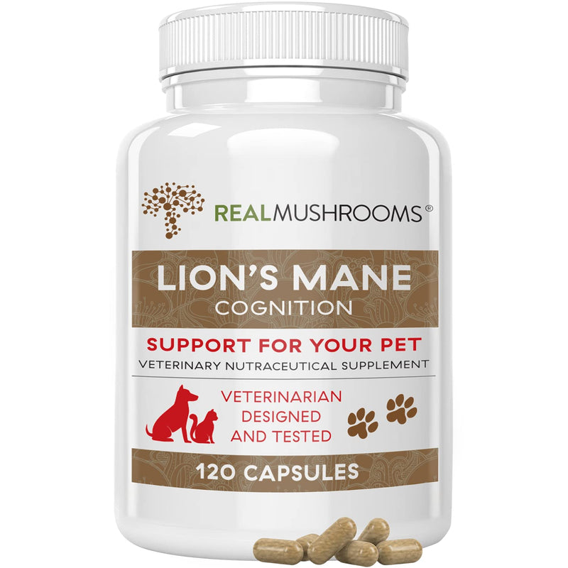 Real Mushrooms Cordyceps for Humans (120ct) and Lions Mane for Pets (120ct) - Bundle for Energy, Vitality & Cognition - Vegan, Non-GMO, Gluten-Free, Grain-Free Mushroom Extract Supplements - BeesActive Australia