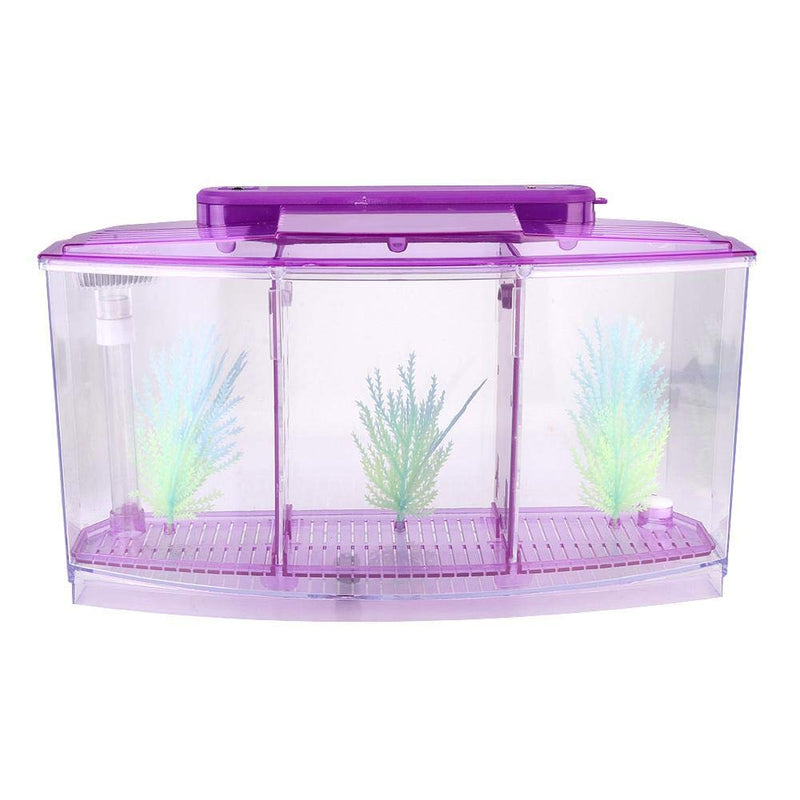 Sutinna Fish Tank, Adjustable Light Isolation Acrylic Small Aquarium, with LED Light for Small Fishes for Betta with Water Change Valve Blue,White,Purple - BeesActive Australia